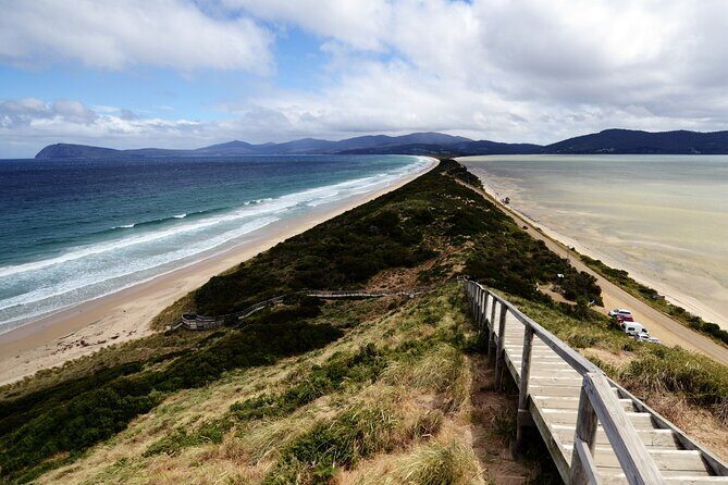 Signature Bruny Island Tour - Hobart & SE Tasmania - Who Will Enjoy This Tour?