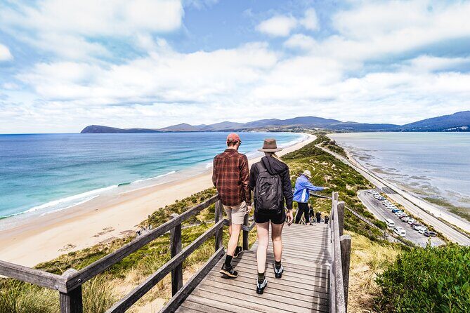Signature Bruny Island Tour - Hobart & SE Tasmania - Frequently Asked Questions