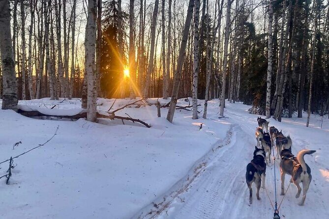 Signature Ridge Top Mush - The Price and Value