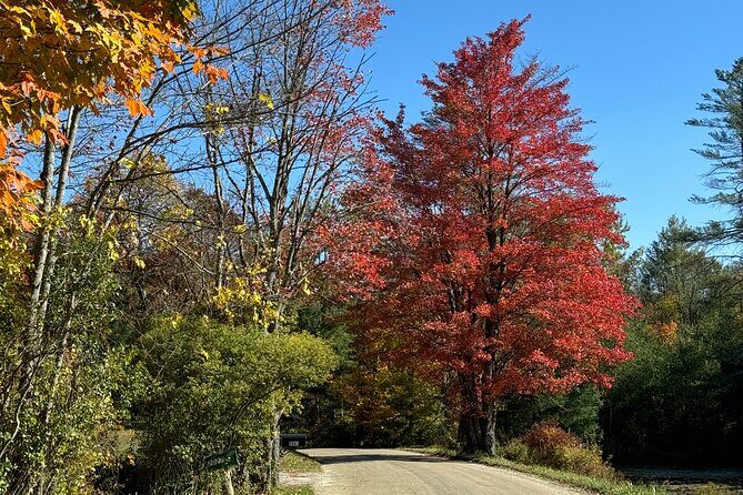 Signature Vermont Wayfinders Private Guided Tour - Key Points