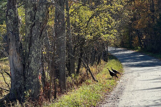 Signature Vermont Wayfinders Private Guided Tour - Final Thoughts