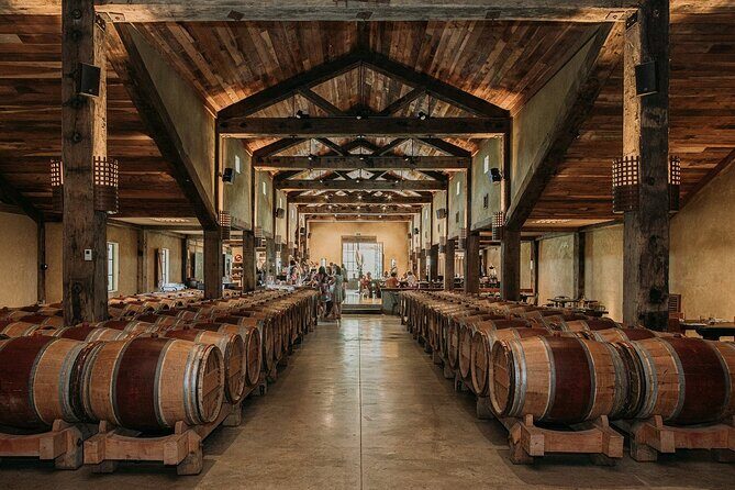 Signature Wine Tour Napier 4 Wineries Cheese and Luxury Vehicle - Visiting Four Top Wineries