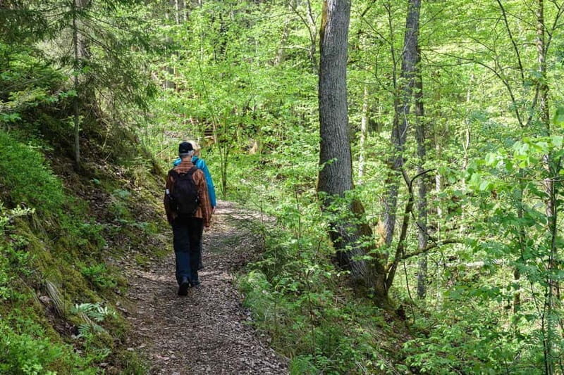Sigulda Hiking Tour: A Day in the Switzerland of Latvia - A Deep Dive into the Sigulda Hiking Experience