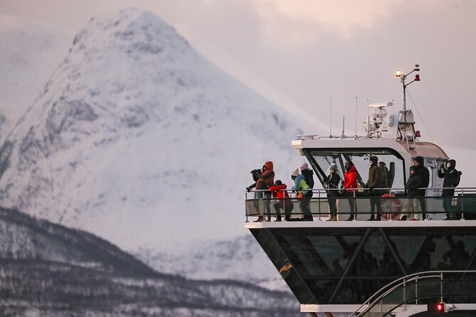 Silent Whale Watching - Cancellation Policy Details