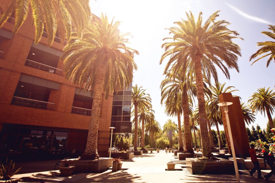 Silicon Valley: Self-Driven Audio Tour for Technology Lovers - Self-Driven Tour Experience