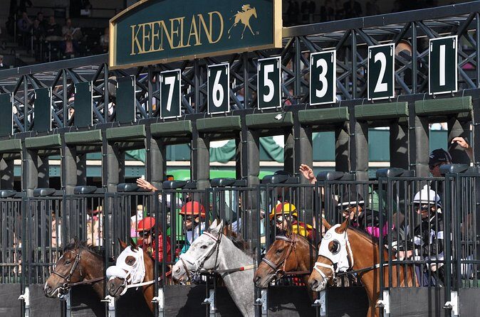 Silks and Celebrations Tailgate Experience - Who Should Consider This Tour?