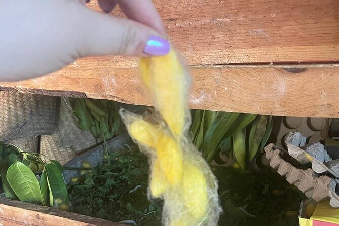 Silkworm and Maguey in the Sierra Norte - A Complete Look at the Tour