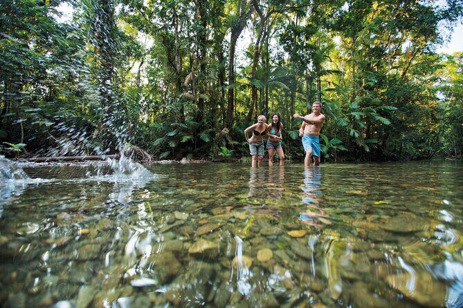 Silky Oaks to Cairns ONE WAY Private Transfer 6 pax - FAQs