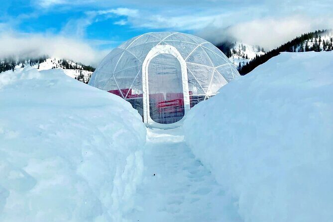 Silvaras Winter Igloo Wine Experience - The Experience in Detail: What Youll Encounter