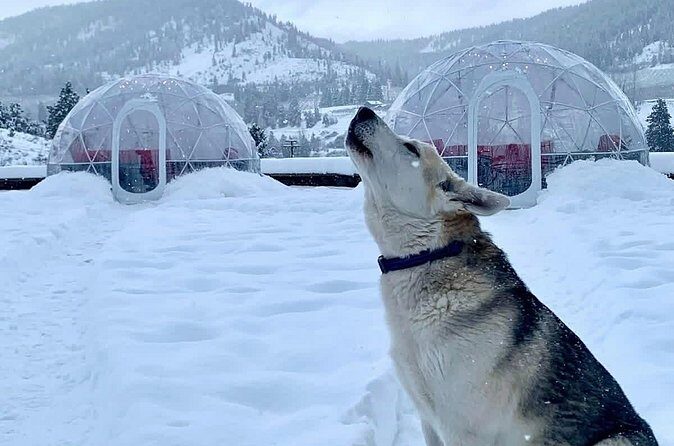 Silvaras Winter Igloo Wine Experience - Who Should Consider This Tour?