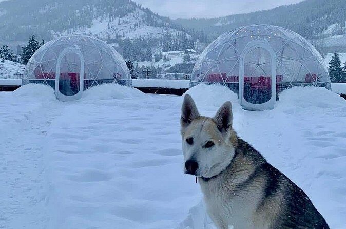 Silvaras Winter Igloo Wine Experience - FAQ
