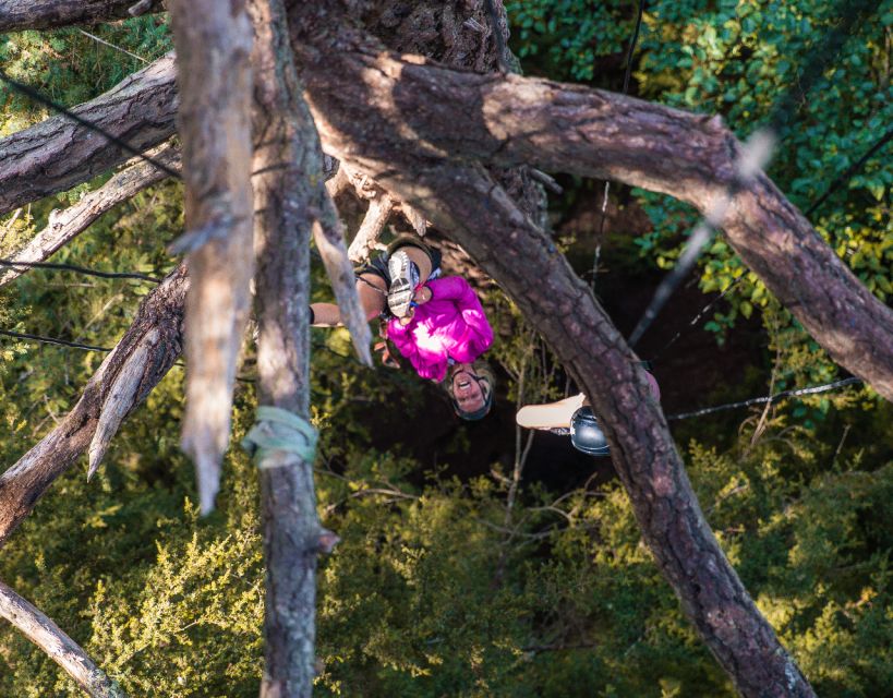 Silver Falls: Old-Growth Tree Climbing Adventure - Climbing Equipment and Safety