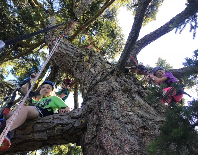 Silver Falls: Old-Growth Tree Climbing Adventure - Directions to the Trailhead