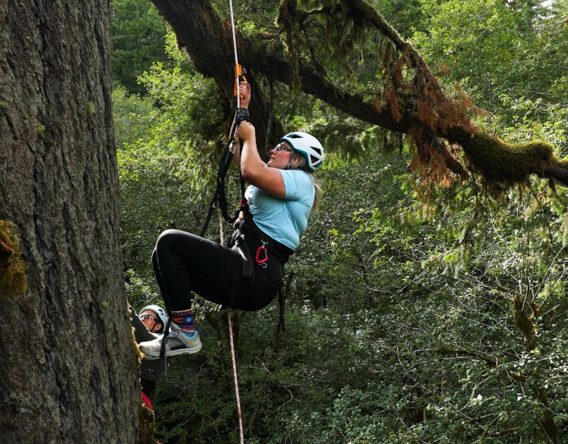 Silver Falls: Old-Growth Tree Climbing Adventure - State Park Entry Requirements
