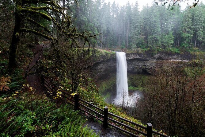 Silver Falls Private Hike Tour - Exploring the Itinerary: What You Can Expect