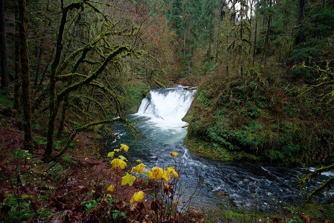 Silver Falls Private Hike Tour - Final Thoughts: Is This Tour Right for You?