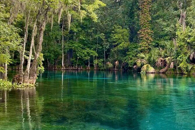 Silver Springs: Clear Kayaking Wildlife Tour - FAQs