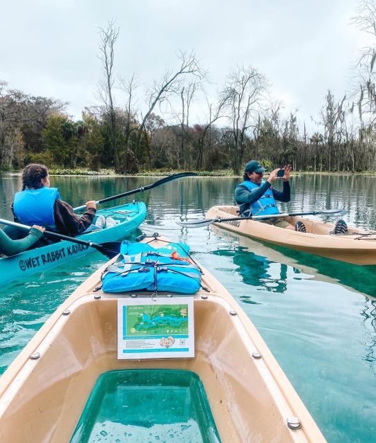 Silver Springs: Glass Bottom Kayak and Wildlife Tour - What Travelers Love (and Sometimes Wish Could Improve)