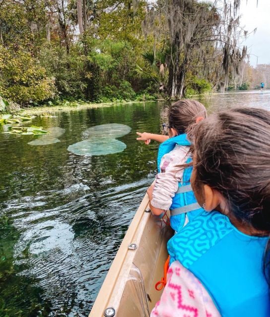 Silver Springs: Glass Bottom Kayak and Wildlife Tour - Who Should Consider This Tour?