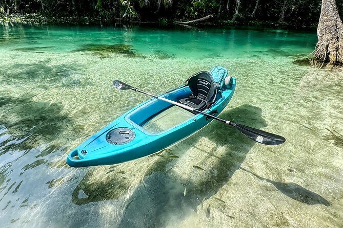 Silver Springs - Glass Bottom Kayak Rental - An In-Depth Look at the Silver Springs Glass Bottom Kayak Experience