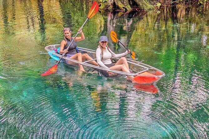 Silver Springs Jungle Kayaking and Paddleboarding - What Makes Silver Springs Stand Out?