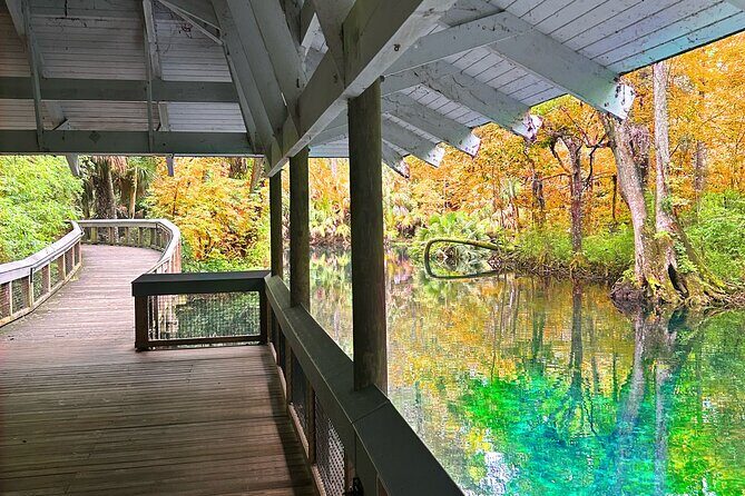 Silver Springs Jungle Kayaking and Paddleboarding - Who Will Love This Tour?