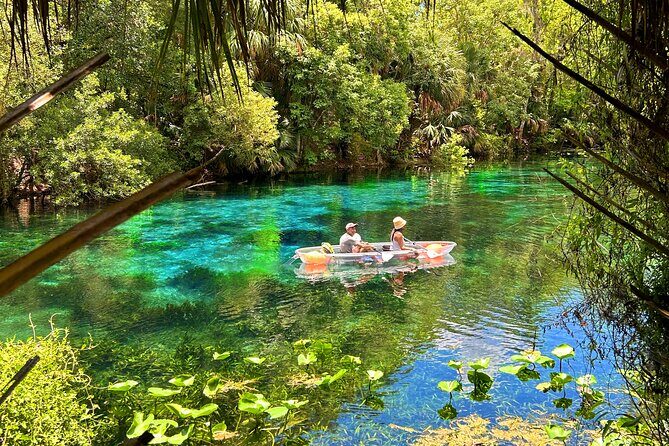 Silver Springs Jungle Kayaking and Paddleboarding - Final Thoughts