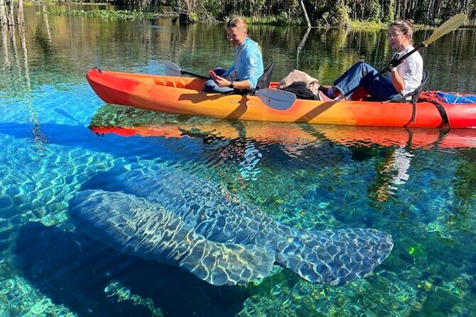 Silver Springs Jungle Kayaking and Paddleboarding - Frequently Asked Questions