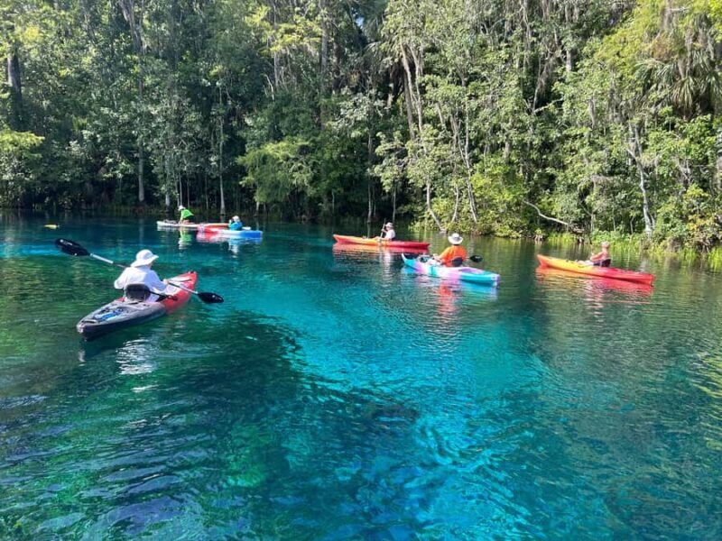 Silver Springs: Kayak or SUP Rental with Shuttle - Who Should Consider This Tour?
