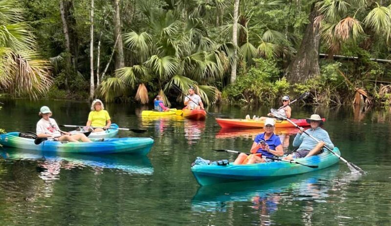 Silver Springs: Kayak or SUP Rental with Shuttle - The Sum Up: A Genuine Florida Experience in Silver Springs