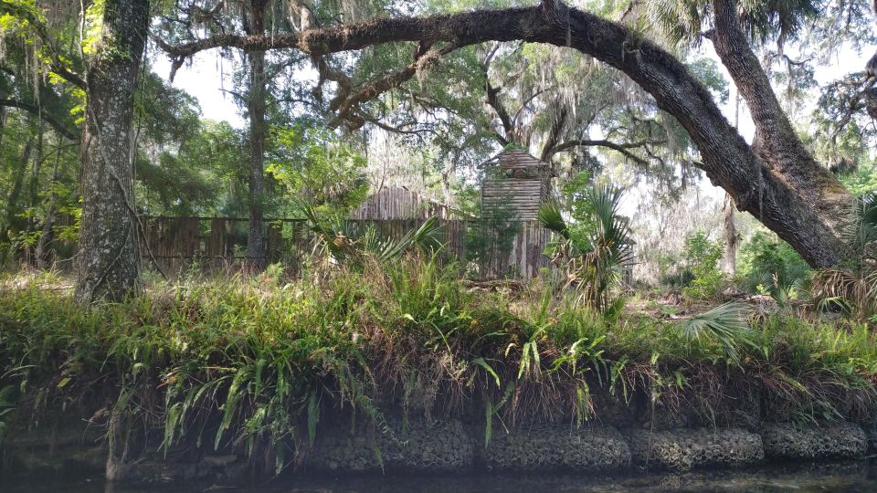 Silver Springs Manatee Kayaking Tour - Recap