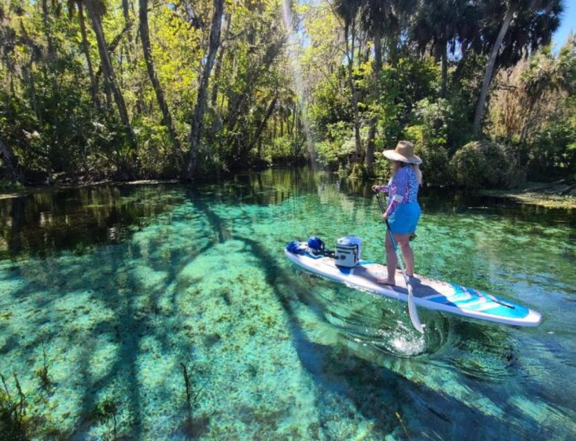 Silver Springs: Manatees and Monkeys Clear Kayak Guided Tour - Highlights of the Tour