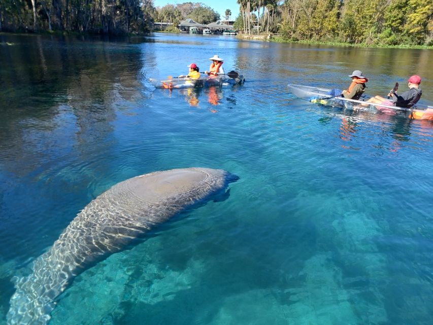 Silver Springs: Manatees and Monkeys Clear Kayak Guided Tour - Included in the Tour