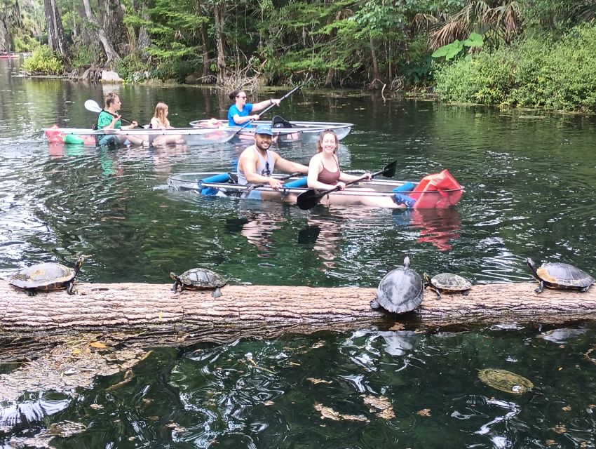 Silver Springs: Manatees and Monkeys Clear Kayak Guided Tour - Safety Precautions