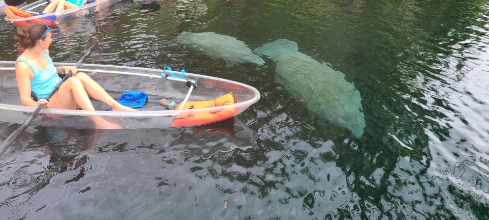 Silver Springs: Manatees and Monkeys Clear Kayak Guided Tour - Tour Booking and Pricing