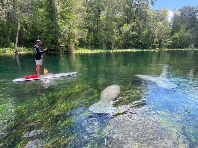 Silver Springs: Manatees, Monkeys, and Natural Spring Tour - What to Expect from the Tour