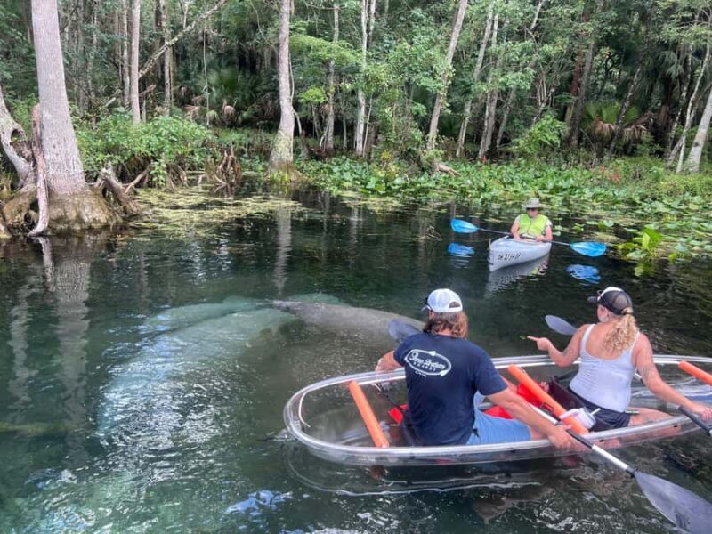 Silver Springs: Manatees, Monkeys, and Natural Spring Tour - The Value of the Experience