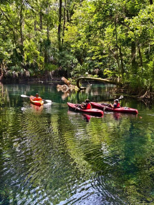 Silver Springs Orlando: Small Group Manatee Season Day Trip - Who Is This Tour Best For?