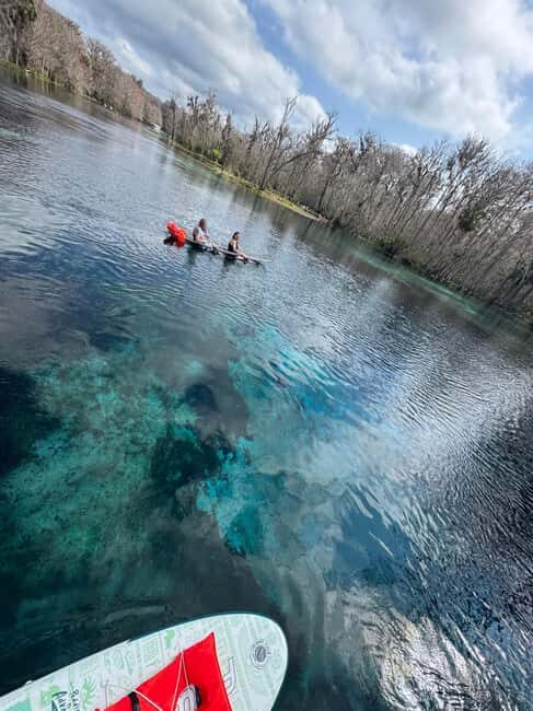 Silver Springs: Silver River Guided Kayak Tour - Key Points