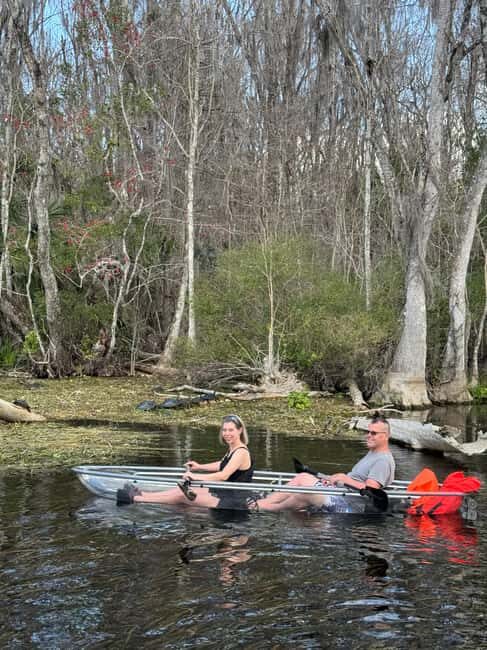 Silver Springs: Silver River Guided Kayak Tour - An In-Depth Look at the Silver River Guided Kayak Tour