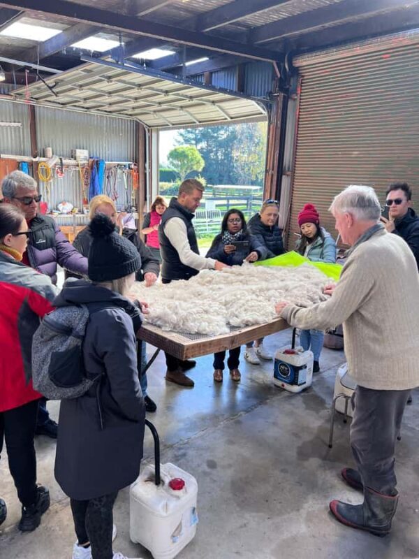 Silverstream Alpaca Farm Tour with Feeding and Guide - Key Points