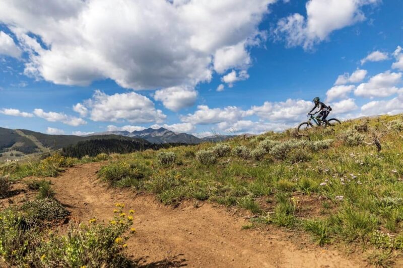 Silverthorne: Mountain Bike Ride Salt Lick Trails - Who Will Love This Tour?