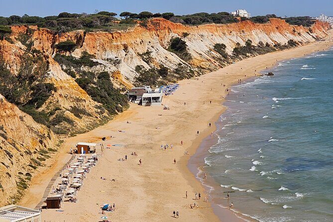 Silves and Albufeira (NEW) - Why This Tour Offers Good Value