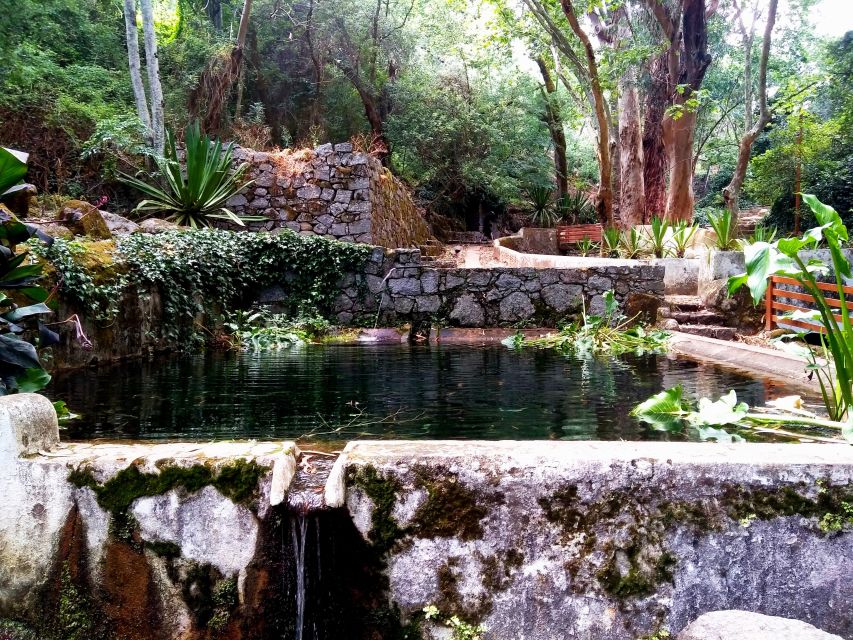 Silves, Caldas and Monchique Wine Tasting: Full Day Tour - Additional Information