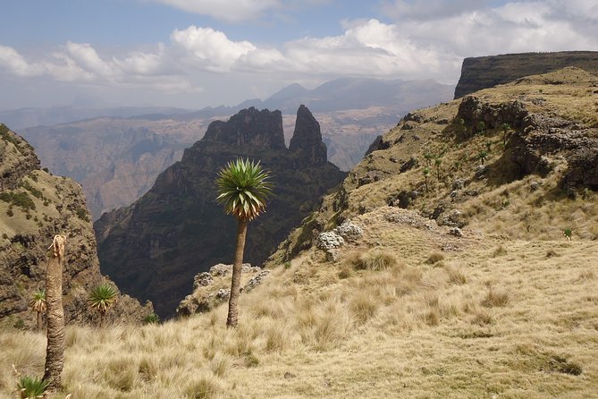 Simien Mountains National Park – 7 Day Trek - Day 1: Arrival and Acclimatization