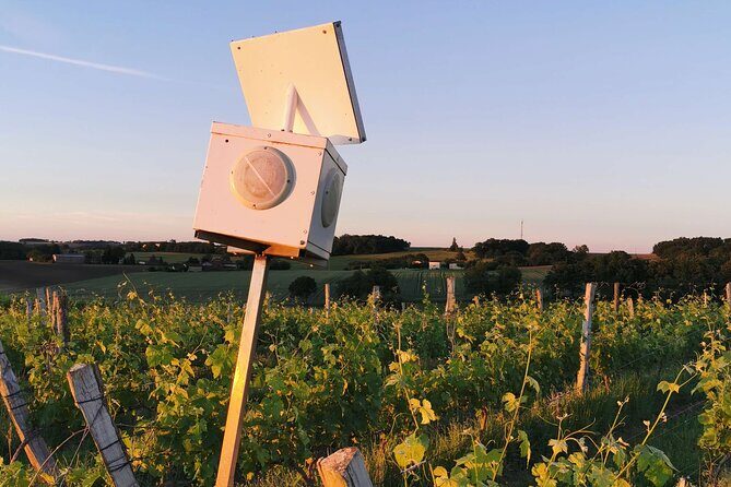 Simple Visit to Discover the Domaine d'Arton - A Closer Look at the Domaine dArton Tour