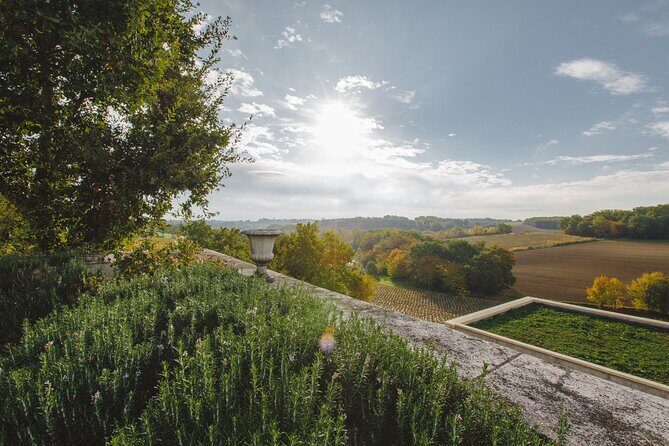 Simple Visit to Discover the Domaine d'Arton - Final Thoughts