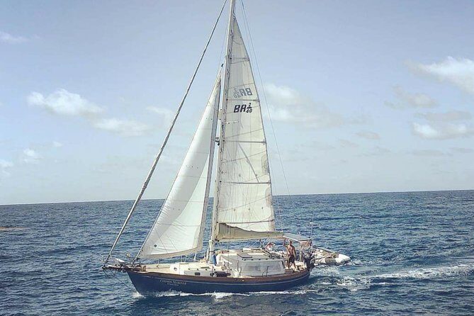 Simply Sailing Private Sail from Sapphire Marina - Key Points  