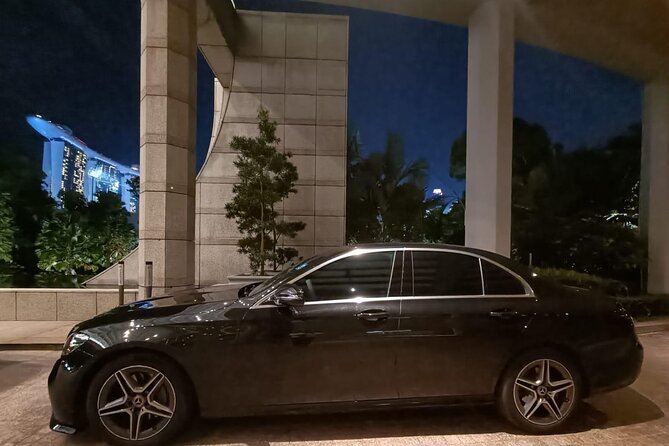 Singapore: Airport/Seaport Arrival Transfer + Meet & Greet - Tips for Travelers