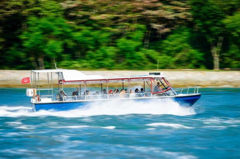 Singapore: Albatross Speedboat Adventures Tickets - An In-Depth Look at the Experience